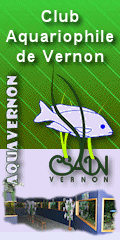 Club aquariophile de Vernon