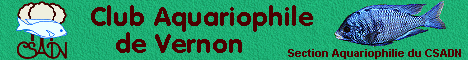 Club aquariophile de Vernon