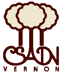CSADN