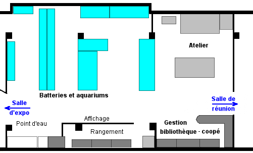 Plan de la salle d'activité