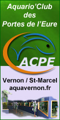 Aquario'Club des Portes de l'Eure - Club aquariophile Vernon Saint-Marcel